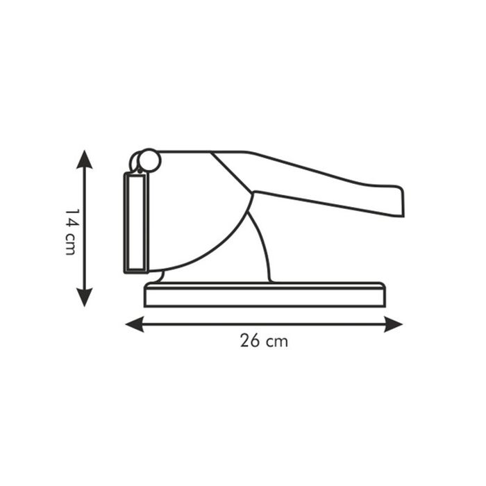 Product Title